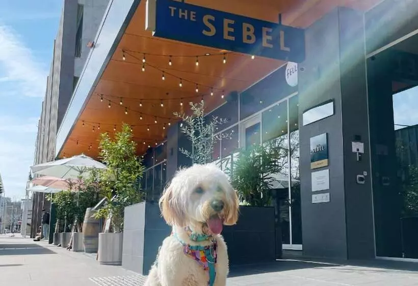 ホテル The Sebel Canberra Civic