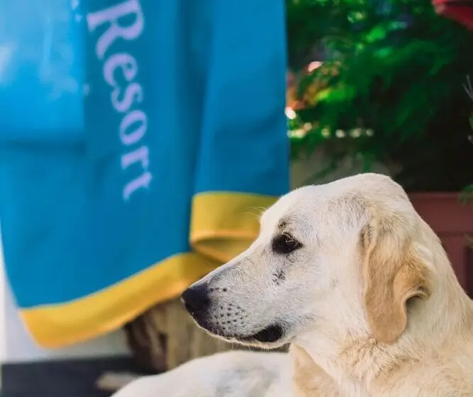 Drymades Bungalows Adults Only