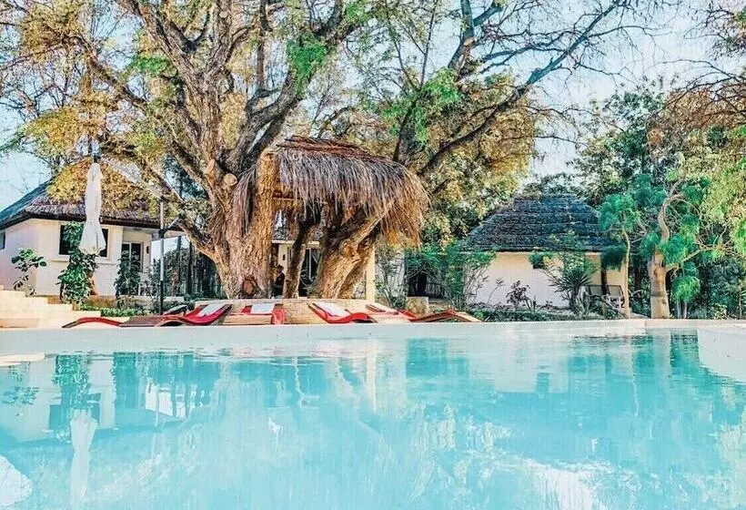 هتل Ifaty Beach Club Resort