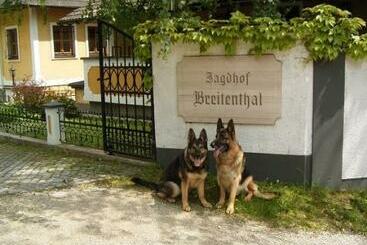 Alpenhotel Jagdhof Breitenthal