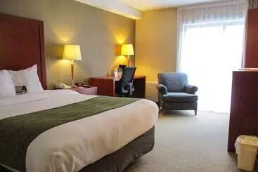 Hotel Comfort Inn Dartmouth