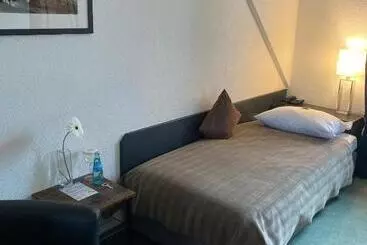 בית מלון כפרי Mainzer Hof