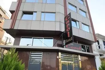 בית מלון כפרי Carol