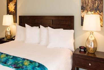 هتل Ocean Terrace Inn