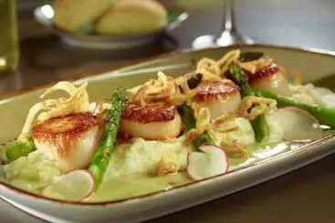 فندق Atlanta Marriott Peachtree Corners