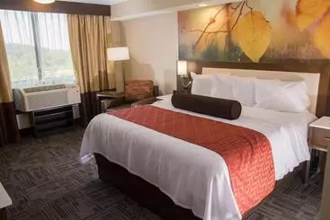 酒店 Holiday Inn Brookfield   Milwaukee, An Ihg