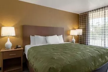 호텔 Quality Inn Saint Petersburg Northtampa Bay