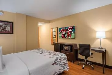 בית מלון כפרי Red Roof Inn Des Moines