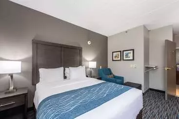 בית מלון כפרי Comfort Inn Chicago Schaumburg  O Hare Airport