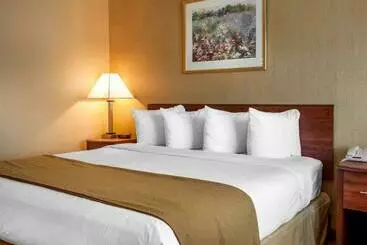 Hotel Quality Inn Meadowlands