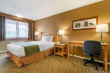 فندق Econo Lodge Inn & Suites