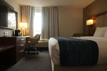 Hotel Comfort Inn & Suites