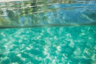 Elysian Beach Resort