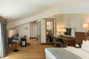 ホテル Holiday Inn Istanbul Old City, An Ihg