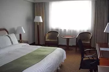 Hotel Holiday Inn City Centre Harbin