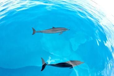 هتل Ithaa Inn Kamadhoo