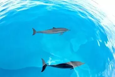 Hotel Ithaa Inn Kamadhoo