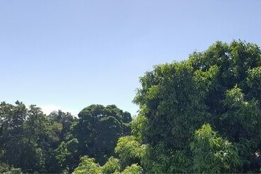 تختخواب و صبحانه Executive