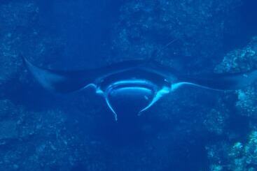 Hotel Canaan Coffee &