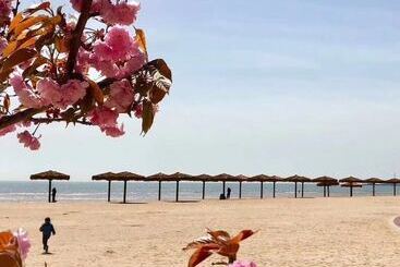 ツーリストアパートメント Jia Zhao Ye Sunny Seaview Apartment