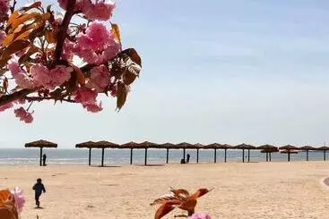 Turistihuoneistot Jia Zhao Ye Sunny Seaview Apartment