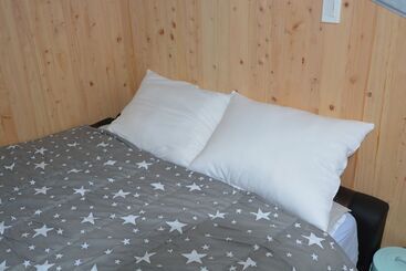 Pensione Donkey And Dog