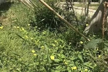 Hotel Mayaluna Ecolodge