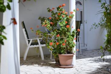 דירות לתיירים Oreb Dream Apartments