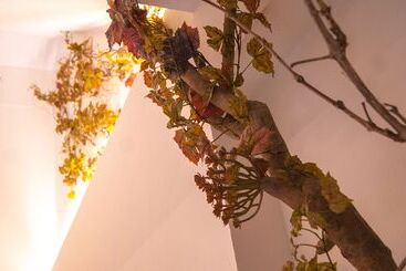 هتل Sweet Sevilla Suites