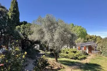 Bed and Breakfast La Cerca Del Alcornoque