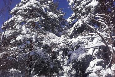 호텔 Rural Casa Cirilo