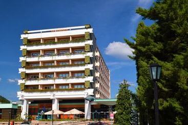 Carpati Hotel Baia Mare