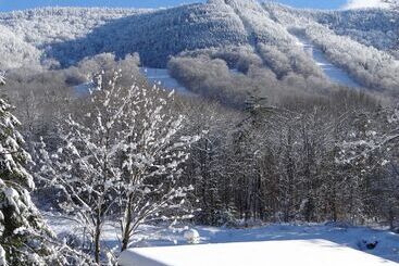 ベッドアンドブレックファースト Blue Gentian Lodge At Magic Mountain