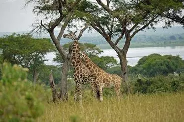 هاستل Murchison Backpackers