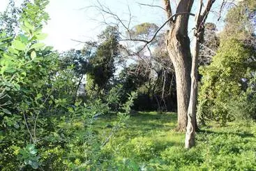 Bed and Breakfast Domaine De Selhac