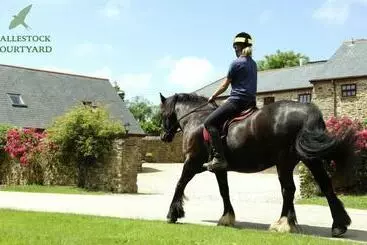 Casa Rural Callestock Courtyard
