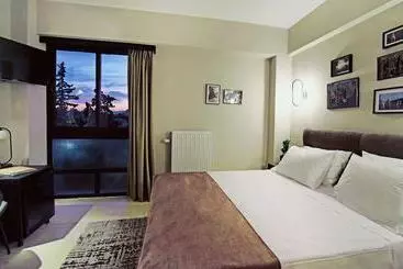 ホテル Athens Iris