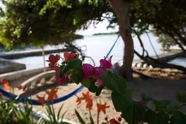 ホテル Isla Tijereto