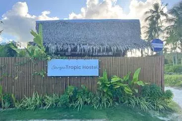 Siargao Tropic Hostel
