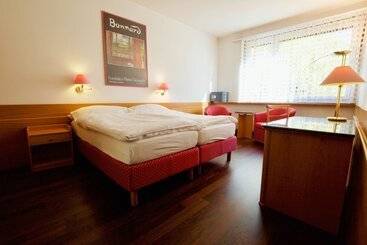 בית מלון כפרי Hôtel Du Rhône