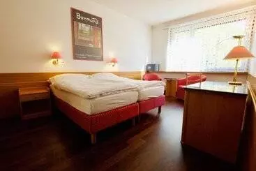 ホテル Hôtel Du Rhône