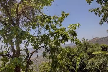 Hotel Rainforest Villa