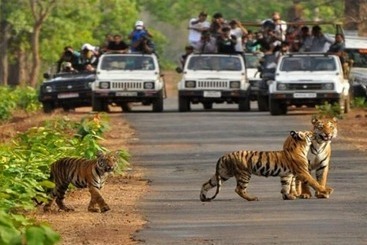 هتل Indira Nikunj Rubystone Exotic