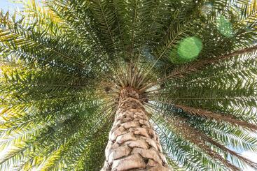 South Beach Plaza Villas