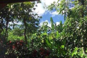 בית מלון כפרי Selvita Lodge Arenal