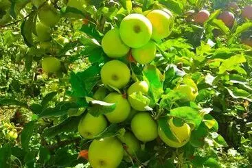 ペンション Atlas Imoula