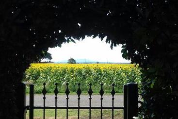 فندق ريفى Agriturismo Bocci