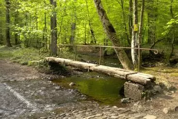 Hotel Auberge Du Sabotier