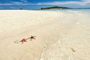 Bed and Breakfast Eco Beach Tent By Billiton