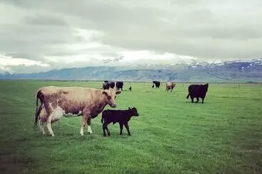 هتل Hótel Fljótshlíd